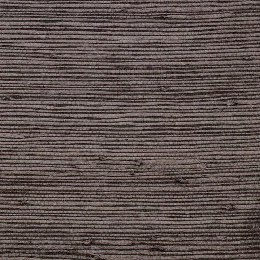 Samburu Wallpaper