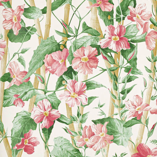 Elena Wallpaper - Peche - 03114-01 - Manuel Canovas