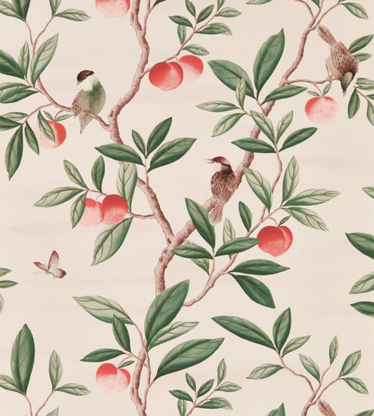 Ella Wallpaper - Powder/ Sage / Peach - HDHW112907 - Harlequin