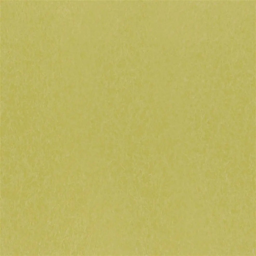 Ernani Wallpaper - Alchemilla - P502/69 - Designers Guild