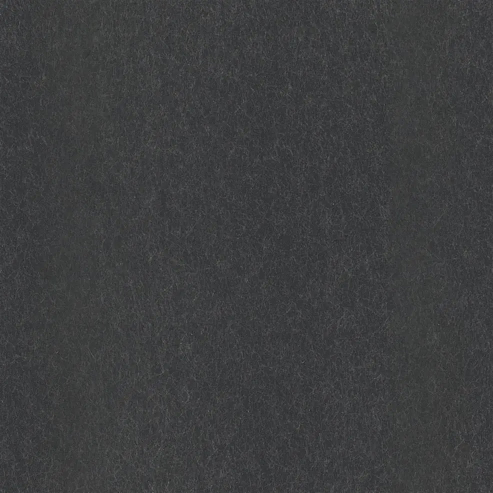 Ernani Wallpaper - Charcoal - P502/70 - Designers Guild