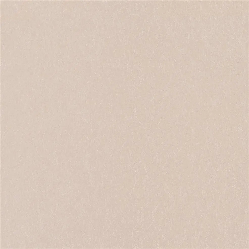 Ernani Wallpaper - Petal - P502/67 - Designers Guild