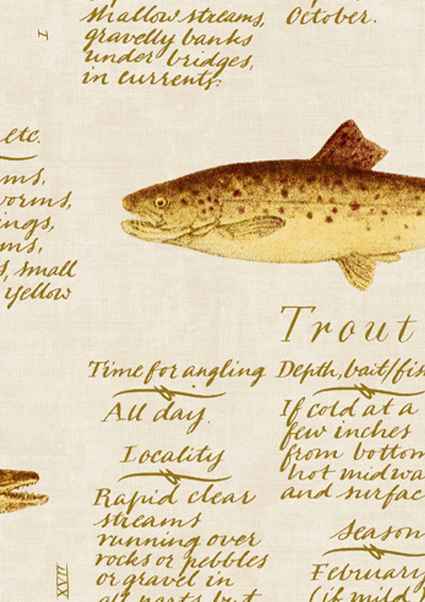 European Fish Wallpaper - Beige