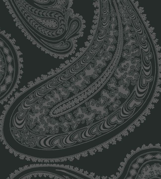 Rajapur Velvet Fabric - Black