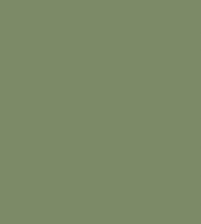 Colour Box Velvet Fabric - Green - Cole & Son