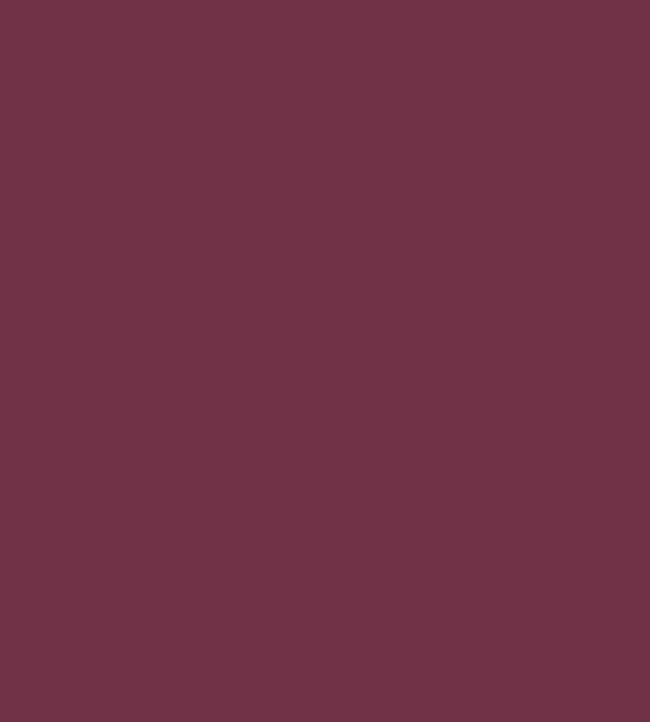 Colour Box Velvet Fabric - Purple - Cole & Son