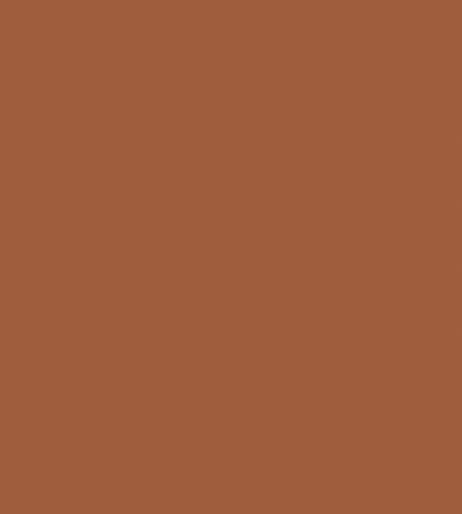 Colour Box Velvet Fabric - Orange - Cole & Son