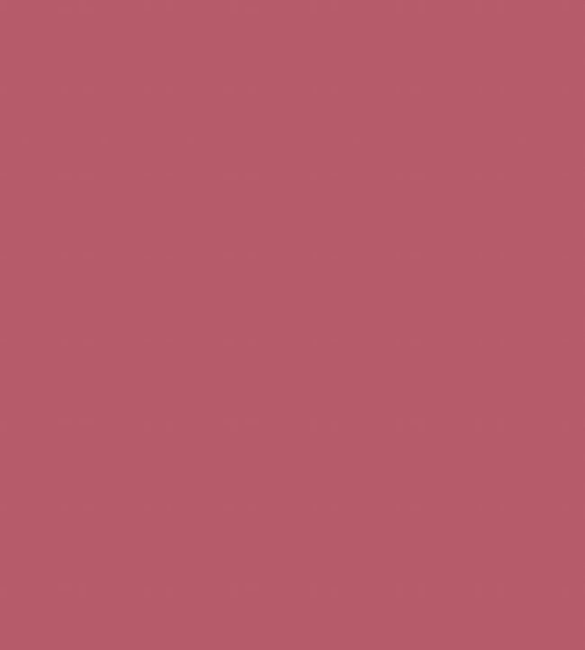 Colour Box Velvet Fabric - Pink - Cole & Son
