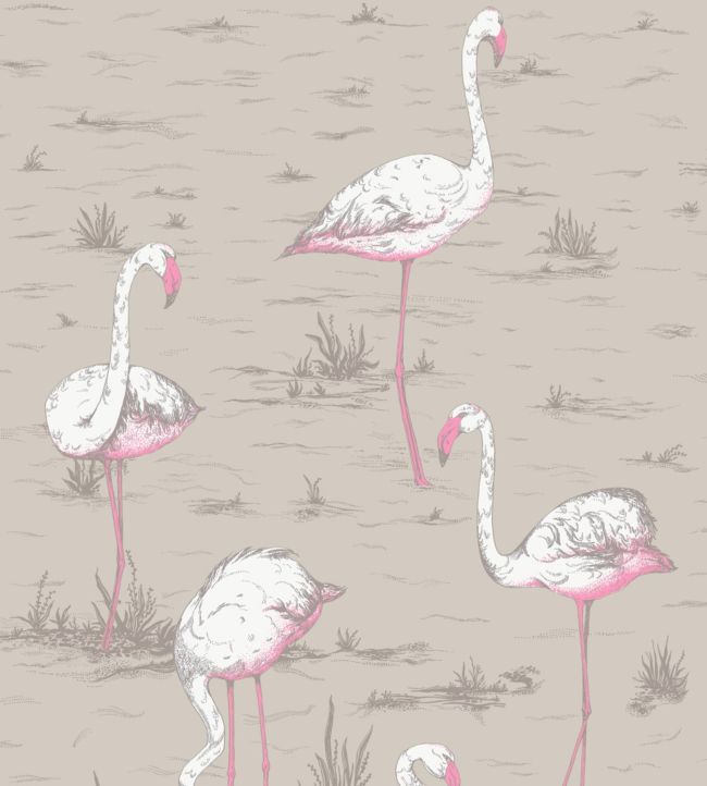 Flamingos Fabric - Pink - Cole & Son