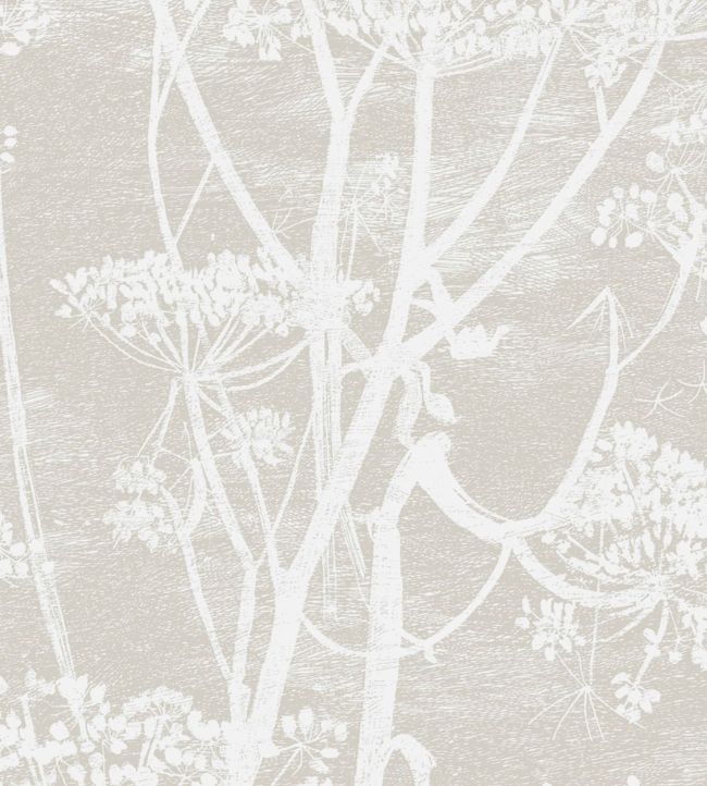 Cow Parsley Fabric - Gray - Cole & Son