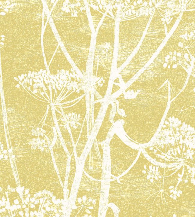 Cow Parsley Fabric - Yellow - Cole & Son