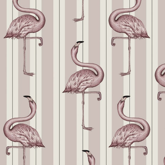 FLAMBOYANCE Wallpaper - Off-White & Macaroon-Pink - House of Hackney