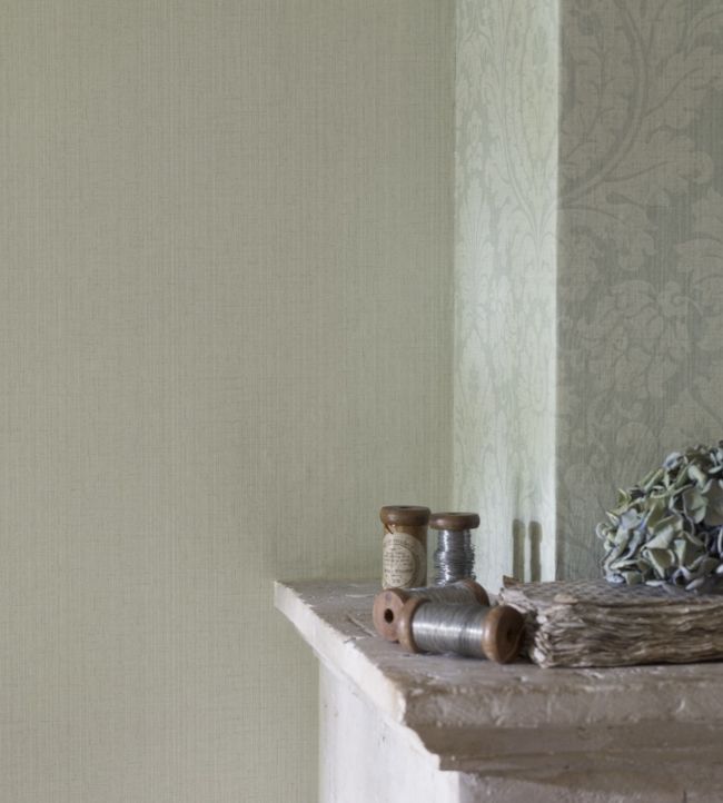 Fabienne Wallpaper - Natural - DFAB214070 - Sanderson