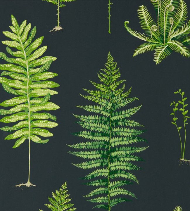 Fernery Wallpaper - Botanical Green/Charcoal - DGLW216634 - Sanderson