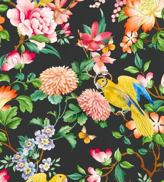 Golden Parrot Wallpaper - Noir - Clarke & Clarke