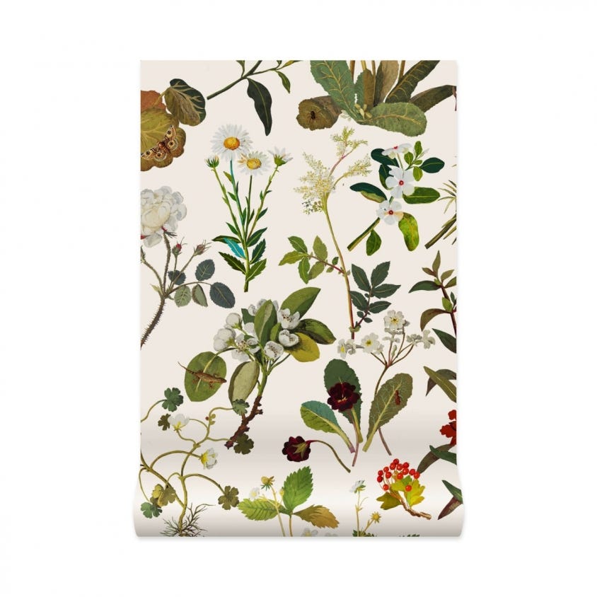 HERBARIUM Wallpaper - Ecru - House of Hackney