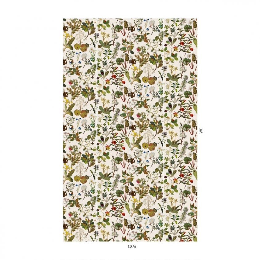 HERBARIUM Wallpaper - Ecru - House of Hackney
