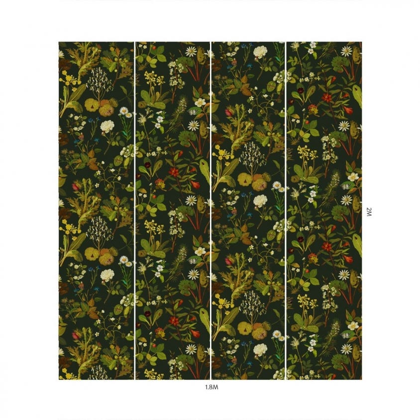 HERBARIUM Wallpaper - Forest-Green - House of Hackney