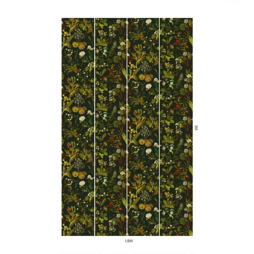 HERBARIUM Wallpaper - Forest-Green - House of Hackney