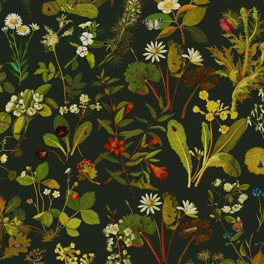 HERBARIUM Wallpaper - Forest-Green - House of Hackney