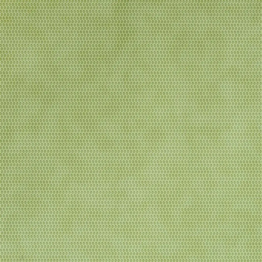 Iribe Wallpaper - Pistachio - P531/06 - Designers Guild