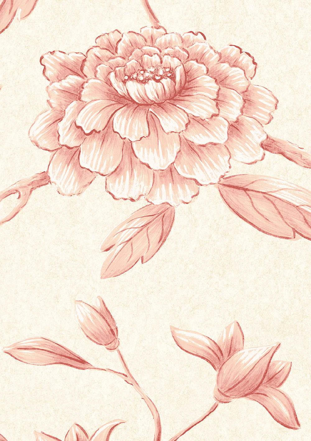 Jasper Peony Wallpaper - Rose