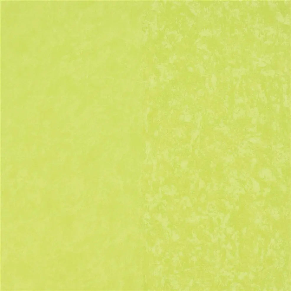 Kalpana Wallpaper - Lime - P576/14 - Designers Guild