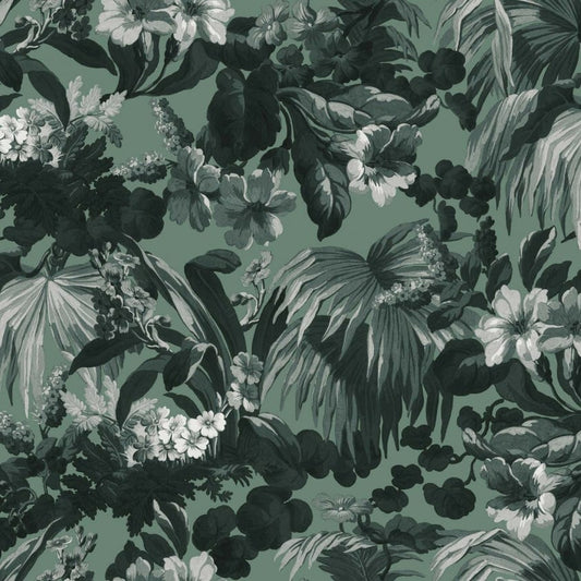 LIMERENCE Wallpaper - Fern - House of Hackney