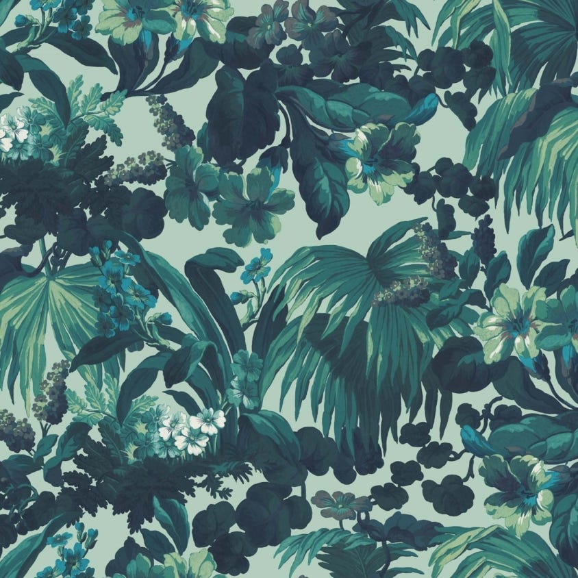 LIMERENCE Wallpaper - Galapagos - House of Hackney