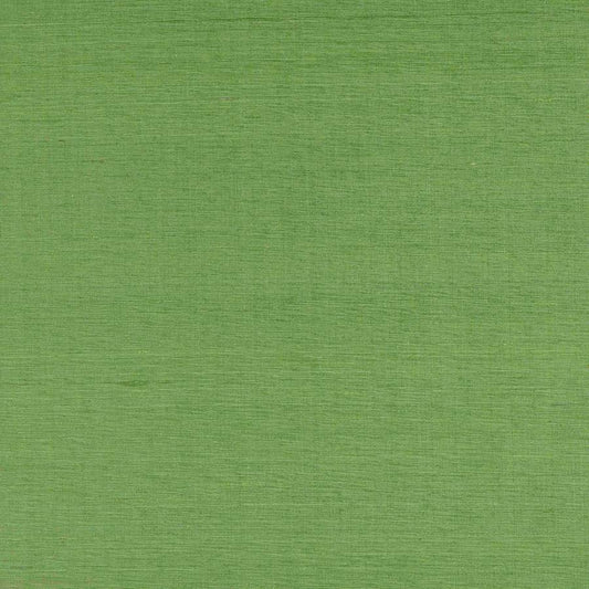 Lazare Fabric - Green - Manuel Canovas