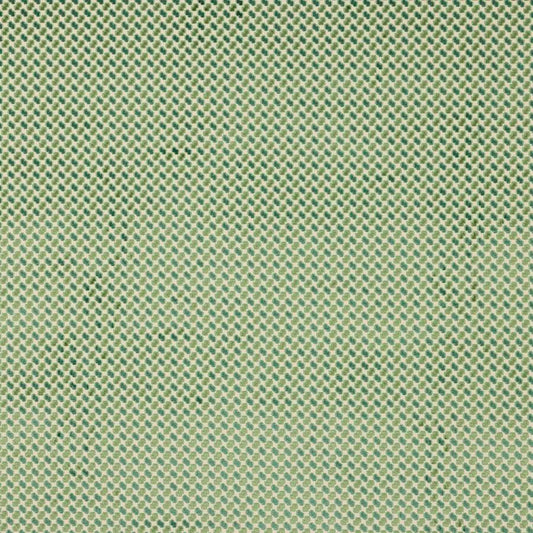 Minos Fabric - Green - Manuel Canovas