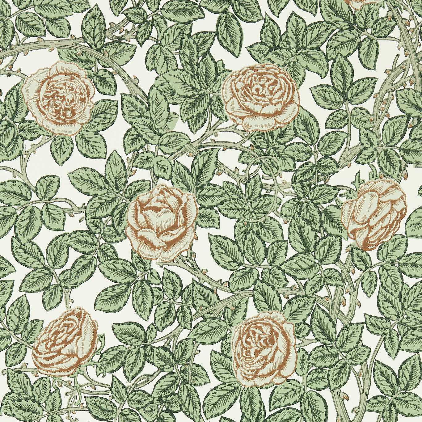 Rambling Rose Leafy Arbour/Pearwood Wallpaper