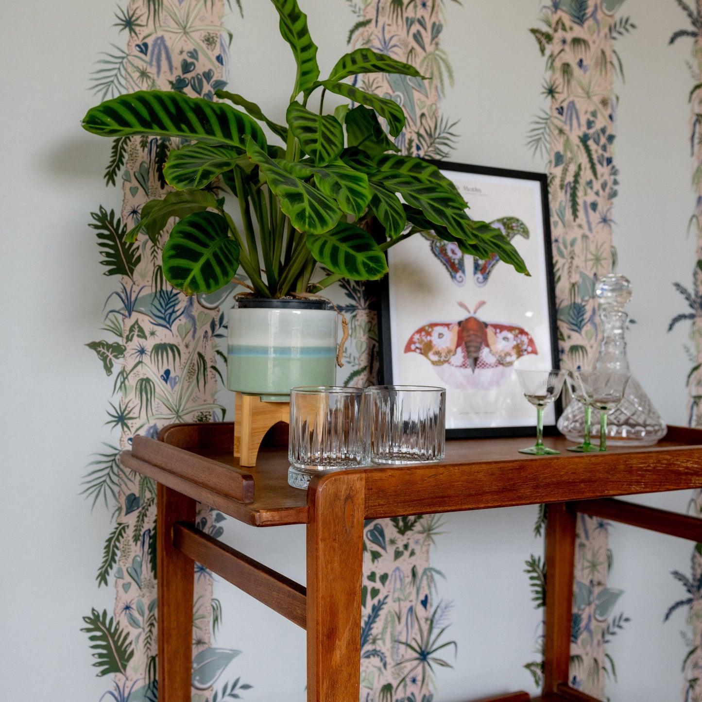 Monte Verde Wallpaper