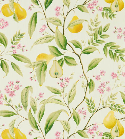 Marie Wallpaper - Fig leaf/Honey/Blossom - HDHW112909 - Harlequin
