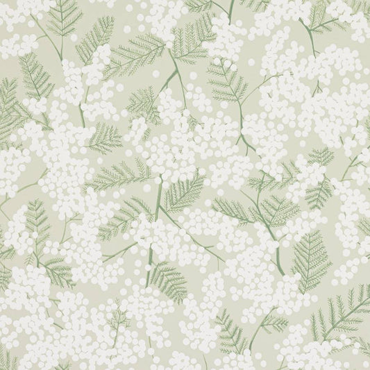 Mimosa Wallpaper - Green - J200W-02 - Jane Churchill
