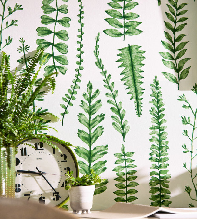 Ferns Room Wallpaper - Juniper