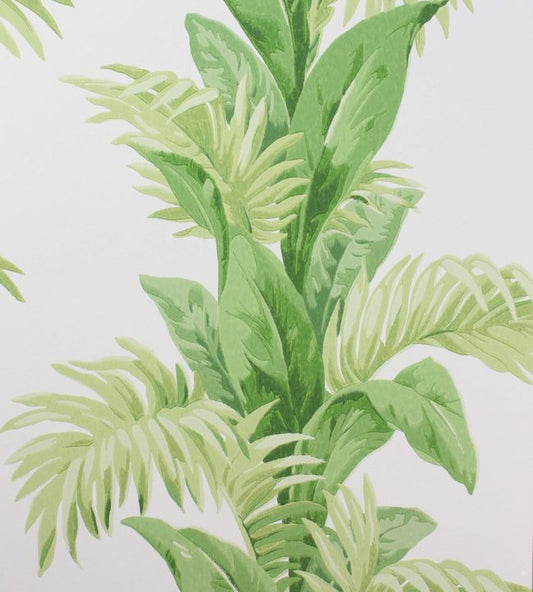 Palmetto Wallpaper - Green