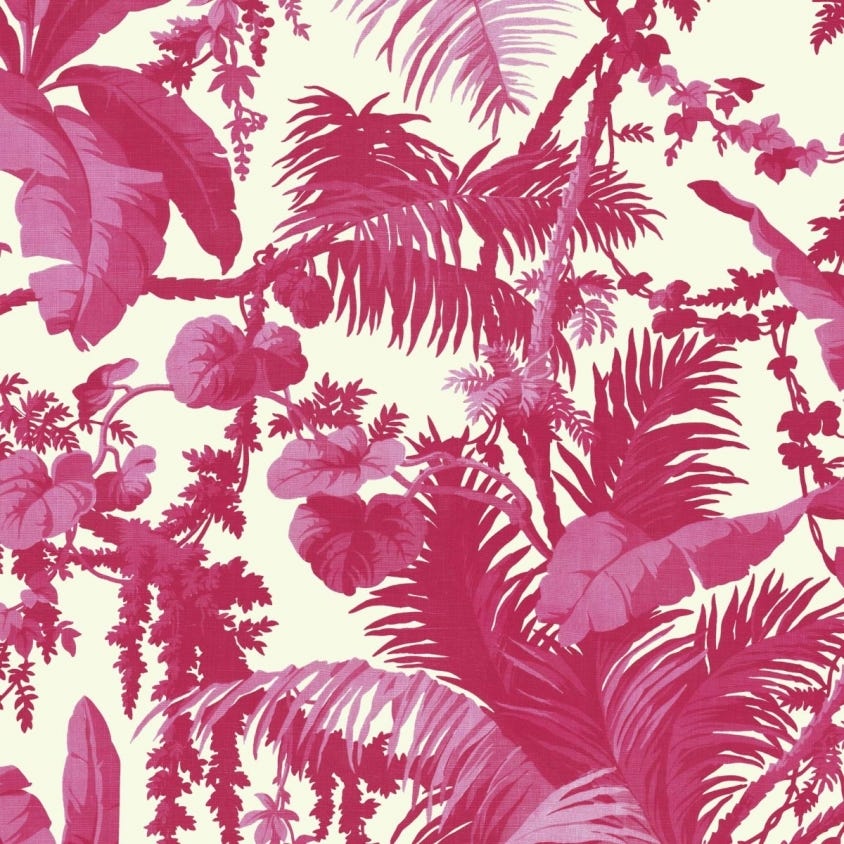 PAMPAS Wallpaper - Off-White & Azalea - House of Hackney