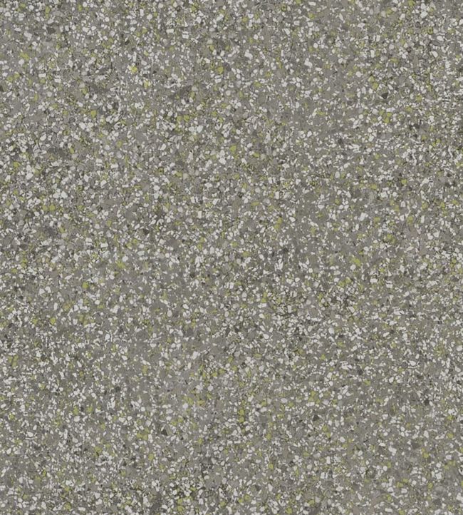 Pavonazzo Wallpaper - Gray