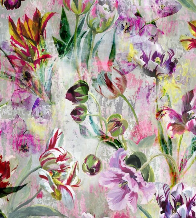 Tulipa Stellata Wallpaper - Purple