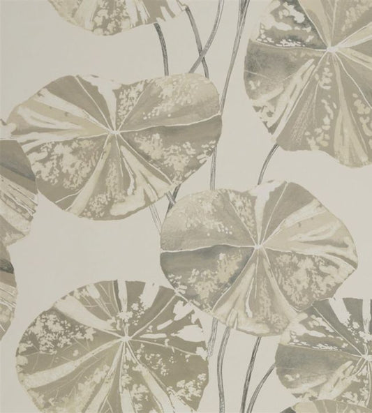 Brahmi Wallpaper - Gray