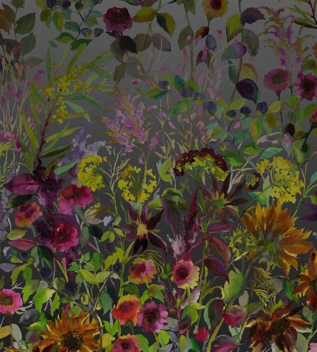 Indian Sunflower Wallpaper - Green