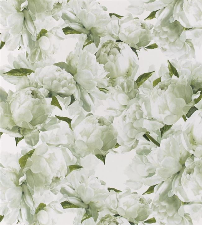 Peonia Wallpaper - Green