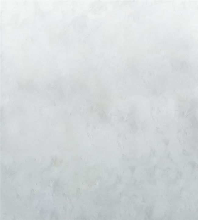 Tourangelle Ombre Wallpaper - Silver