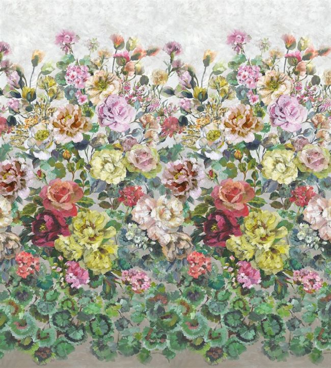 Grandiflora Rose Wallpaper - Multicolor