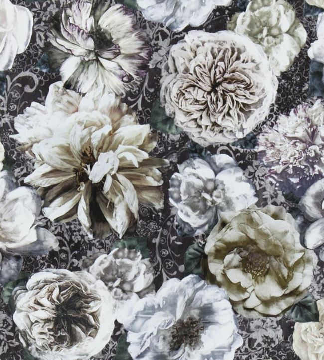 Pahari Wallpaper - Gray