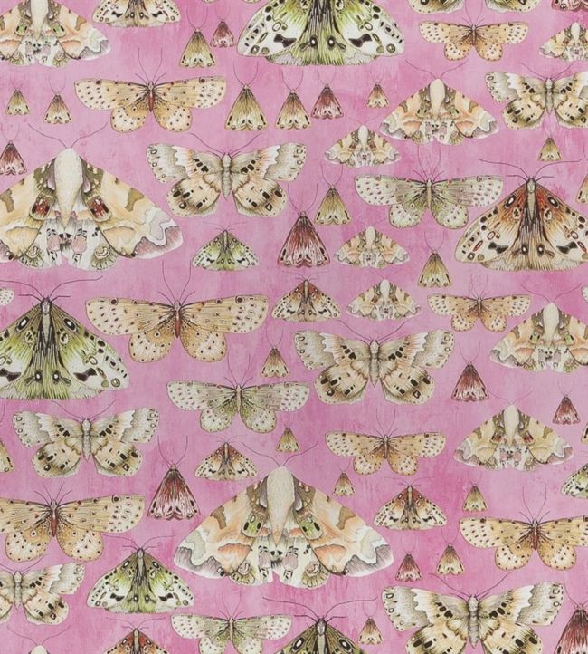 Issoria Wallpaper - Pink