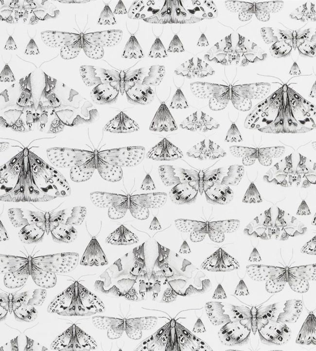 Issoria Wallpaper - Gray
