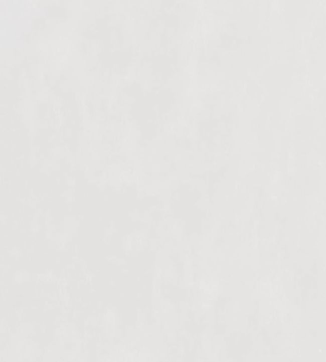 Parchment Wallpaper - White