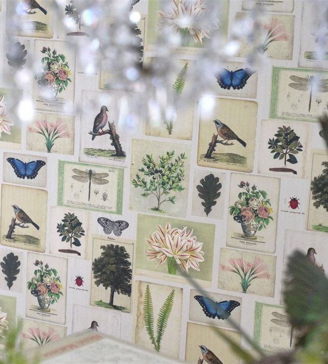 Flora And Fauna Room Wallpaper - Multicolor